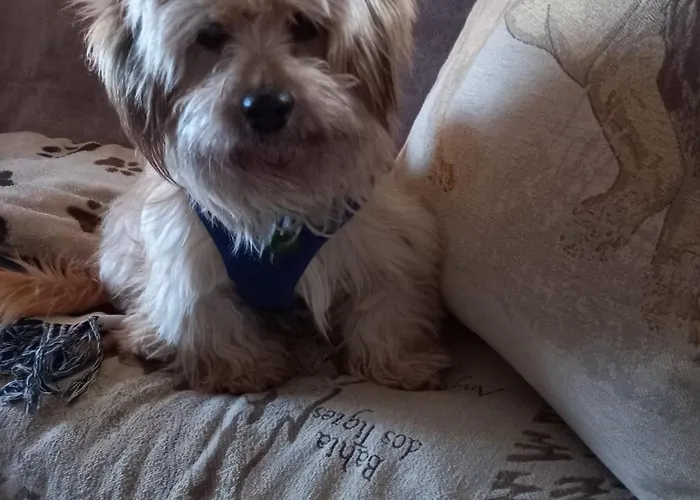 Horská chata Bellavie2